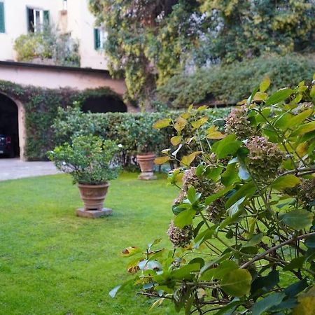 Loft Moderno Ubicato Nel Centro Storico Di Lucca Apartment Екстериор снимка